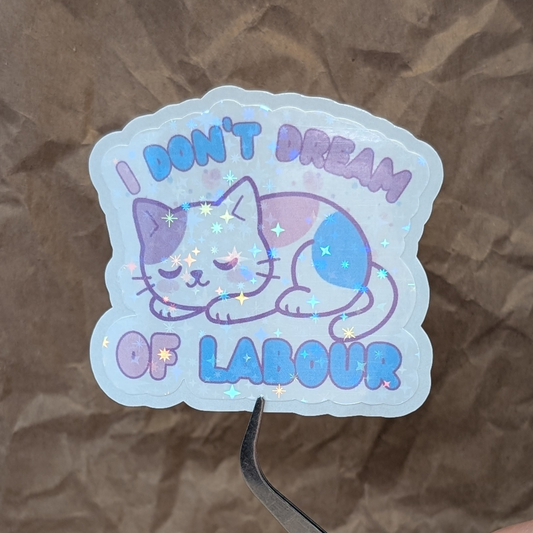 I Don’t Dream of Labour – Sleeping Cat Vinyl Sticker