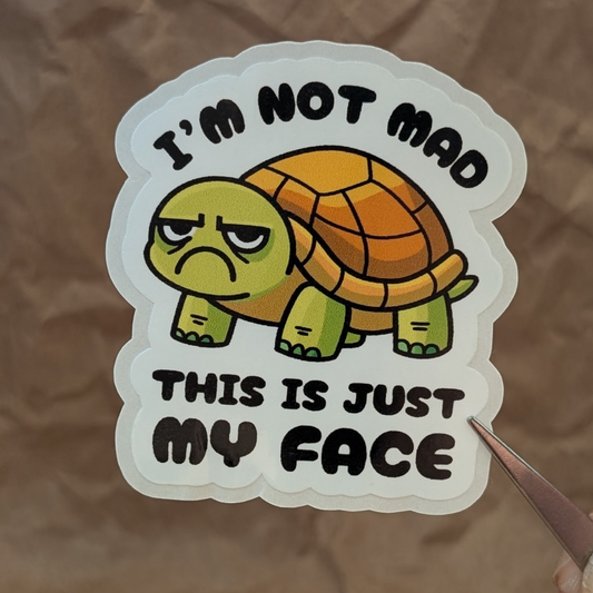 This Is Just My Face – Funny Tortoise Vinyl Sticker