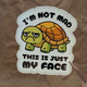 This Is Just My Face – Funny Tortoise Vinyl Sticker